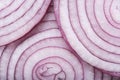 Blue onion rings on macro photograph. Royalty Free Stock Photo