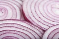 Blue onion rings on macro photograph. Royalty Free Stock Photo