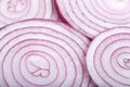 Blue onion rings on macro photograph. Royalty Free Stock Photo