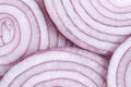 Blue onion rings on macro photograph. Royalty Free Stock Photo