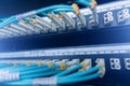 Blue optical network cables Royalty Free Stock Photo