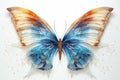 A blue and orange butterfly on a white surface. Generative AI image. Royalty Free Stock Photo