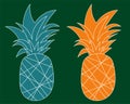 Blue and orange flat pineapples. Tropical ananas isolated on colored background. Exotic fruits. Vector illustration