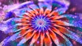 Blue and Orange High Quality Abstract fractal 3d space flower bloom 6 Royalty Free Stock Photo