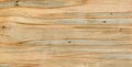 Blue and orange striped spalted wood Royalty Free Stock Photo