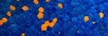 Blue and orange styrofoam with visible details Royalty Free Stock Photo