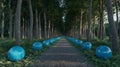 Blue orbs line a forest path trees Royalty Free Stock Photo