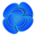 Blue orchid icon, cartoon style