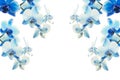 Blue orchids background