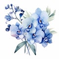 Blue Orchids Watercolor Clipart: Realistic Landscapes With Indigo Blue Hues Royalty Free Stock Photo