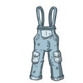 Blue overalls for the worker. Denim Clothing with pockets. The gardener and farmer element. Drawn cartoon illustration