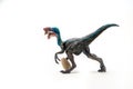 Blue Oviraptor Dinosaur on white background