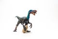 Blue Oviraptor Dinosaur on white background