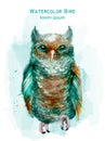 Blue owl colorful Vector watercolor. Exotic bird isolated on whites Royalty Free Stock Photo