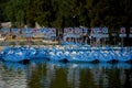 Blue Paddle Boats