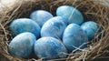Blue painted Easter eggs are neatly arranged in a nest.