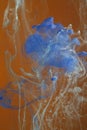 Blue paints dissolving