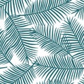 Blue palm leaves on a white background exotic tropical hawaii se Royalty Free Stock Photo