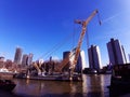 Blue panorama of the Erasmus bridge from Rotterdam on the river