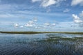 Blue panorama of Everglades, Florida, USA Royalty Free Stock Photo