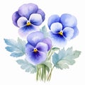 Blue Pansies Watercolor Clipart: Elegant Floral Arrangement In Ice Blue Hues Royalty Free Stock Photo