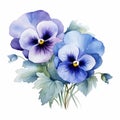 Blue Pansies Watercolor Flower Illustration - Elegant And Delicate Still-lifes Royalty Free Stock Photo