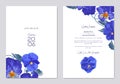 Two templates with realistic blue Viola flowers, Pansies.