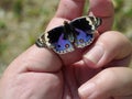 Blue Pansy Butterfly on human finger and hand with natural brown background Royalty Free Stock Photo