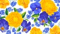 Large floral background with yellow and blue flowers of ranunculus, pansies, forget-me-not Royalty Free Stock Photo