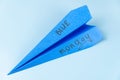 A blue paper airplane with the inscription Blue Monday against a blue sky