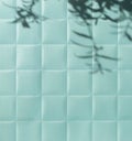 Blue paper checkered texture background with leaves shadows. Royalty Free Stock Photo