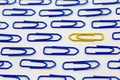 blue paper clips that lie in one direction, a yellow paper clip that goes away from its own unique and individual and different