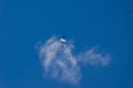 blue paraglider flies against the background of blue sky and clouds Royalty Free Stock Photo