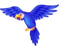 Blue parrot cartoon flying