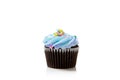 Blue Pastel chocolate cupcake on white Royalty Free Stock Photo