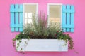 Blue pastel wooden window with plant pot on sweet pink wall, spa