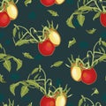 Blue pattern with tomatoe and plant. Royalty Free Stock Photo