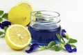 Blue pea flower juice in transparent bowl