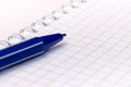Blue pen on blank notebook Royalty Free Stock Photo