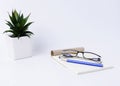 Blue pencil with eyeglasses on notepad and flower pot on white background Royalty Free Stock Photo