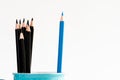 Blue pencil separated in blue cup with among black pencils Royalty Free Stock Photo