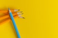 A blue pencil at the top of a group of yellow pencils