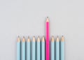 Blue pencils in a row, one pink pen is standing out, be different, leadership and teamwork concept Royalty Free Stock Photo