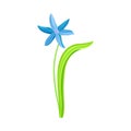 Blue Pendulous Flower of Snowdrop or Galanthus Bulbous Perennial Specie Vector Illustration