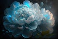 Blue peony flowers on a dark background. Close-up Royalty Free Stock Photo