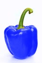 Blue pepper