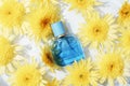 Blue perfume bottle on water background with yellow chrysanthemum flowers. Top view, flat lay Royalty Free Stock Photo