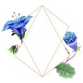Blue Phacelia Flower. Watercolor Background. Frame Golden Crystal. Geometric Crystal Stone Polyhedron.