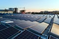 Blue photovoltaic solar panels mounted on building roof for producing clean ecological electricity at sunset. Production