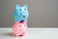 The blue piggy bank financially exploits the pink one. The concept of an unhealthy relationship between a couple where the partner Royalty Free Stock Photo